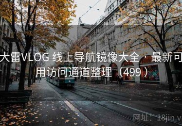 大雷VLOG 线上导航镜像大全 · 最新可用访问通道整理（499 ）