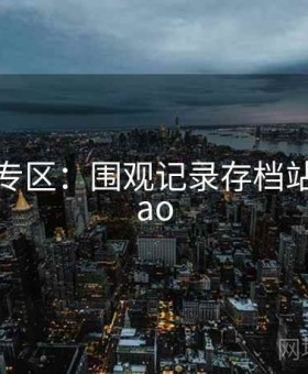 91爆料 专区：围观记录存档站，91upao
