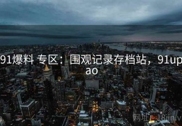 91爆料 专区：围观记录存档站，91upao