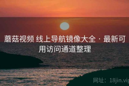 蘑菇视频 线上导航镜像大全 · 最新可用访问通道整理
