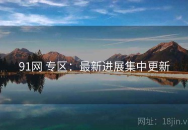 91网 专区：最新进展集中更新