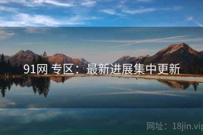 91网 专区：最新进展集中更新