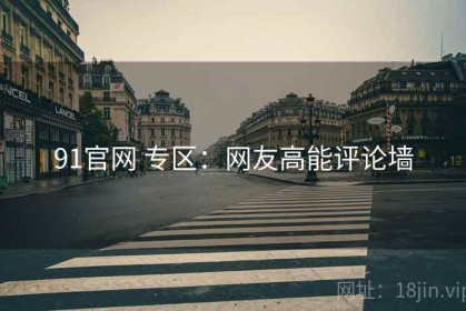 91官网 专区：网友高能评论墙