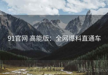 91官网 高能版：全网爆料直通车