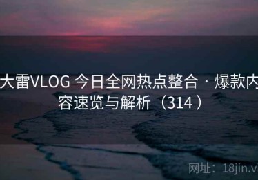 大雷VLOG 今日全网热点整合 · 爆款内容速览与解析（314 ）