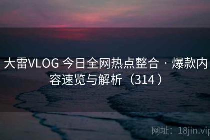 大雷VLOG 今日全网热点整合 · 爆款内容速览与解析（314 ）